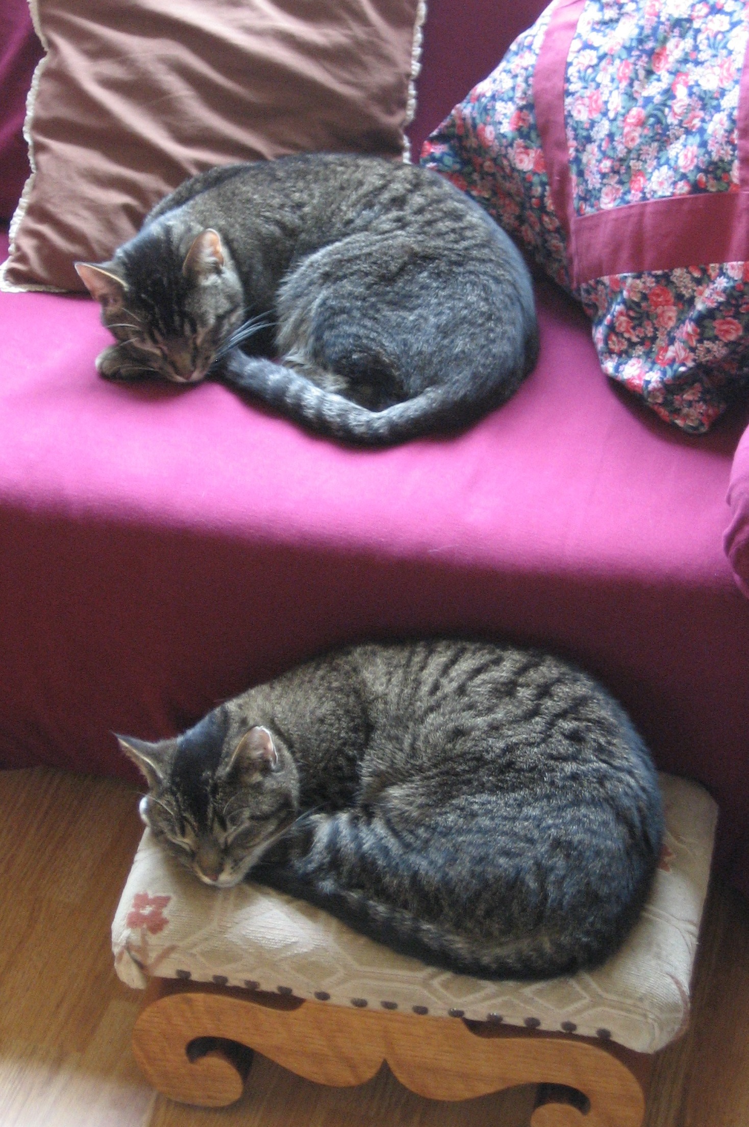 side-on photo of two nearly-identical grey/brown tabby cats, curled up in almost exactly the same sleeping position with their heads resting on their paws, and oriented in the same direction, one laying on a couch and the other laying below and slightly to the right on a footstool, muted light (as from an overcast day) flooding in from an unseen window behind them